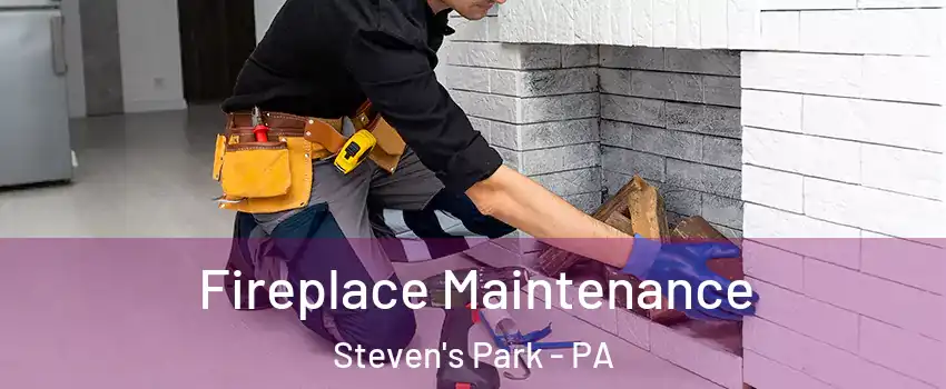 Fireplace Maintenance Steven's Park - PA