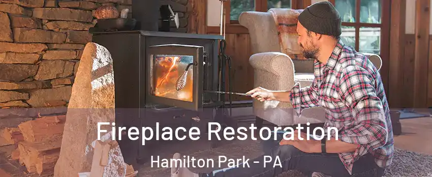 Fireplace Restoration Hamilton Park - PA