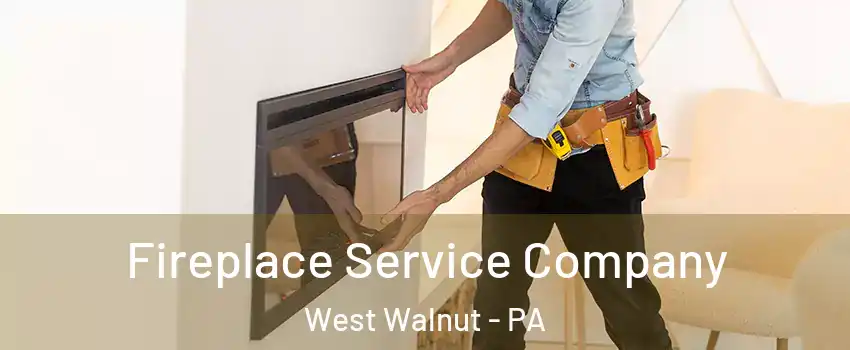 Fireplace Service Company West Walnut - PA
