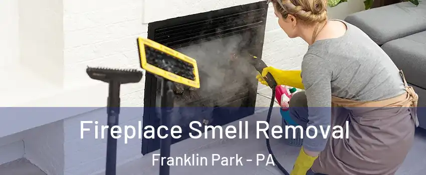 Fireplace Smell Removal Franklin Park - PA
