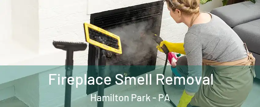 Fireplace Smell Removal Hamilton Park - PA
