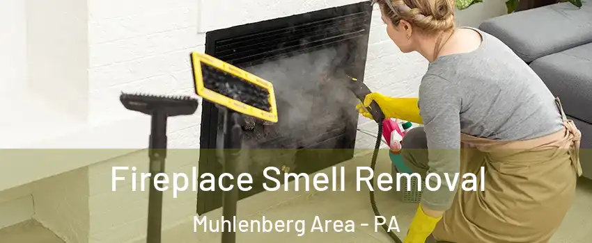 Fireplace Smell Removal Muhlenberg Area - PA