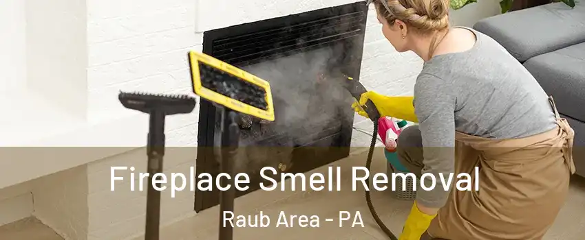 Fireplace Smell Removal Raub Area - PA