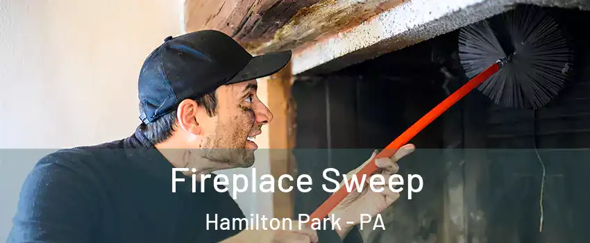 Fireplace Sweep Hamilton Park - PA