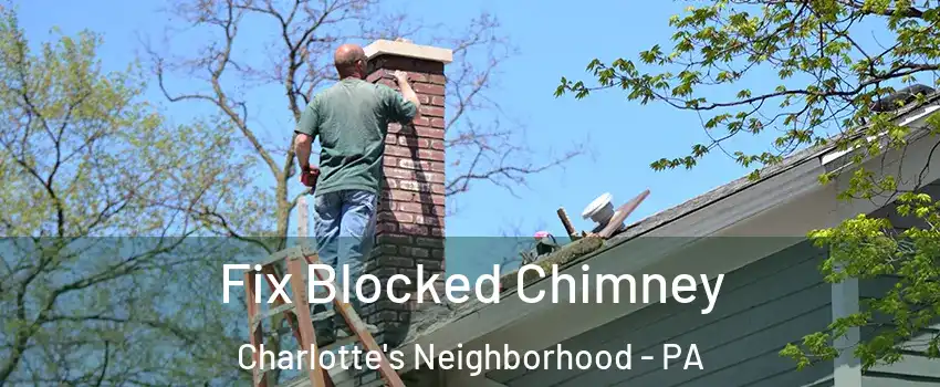 Fix Blocked Chimney Charlotte's Neighborhood - PA