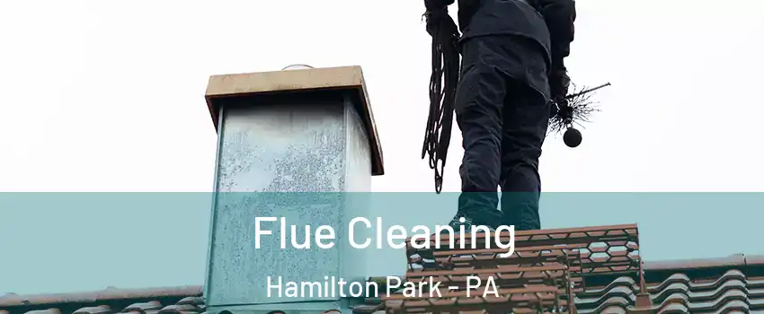 Flue Cleaning Hamilton Park - PA