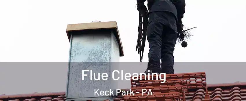 Flue Cleaning Keck Park - PA