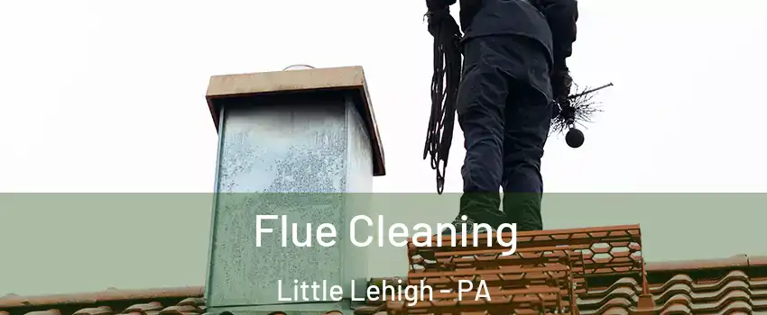 Flue Cleaning Little Lehigh - PA