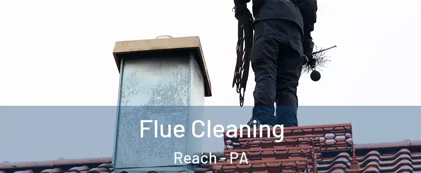 Flue Cleaning Reach - PA