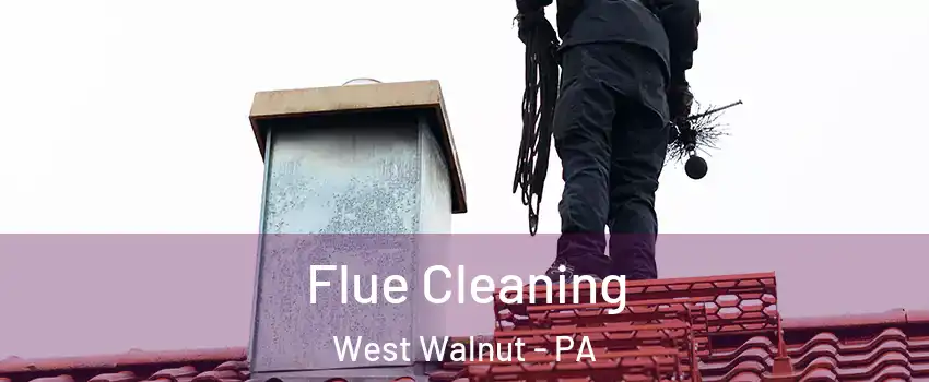 Flue Cleaning West Walnut - PA