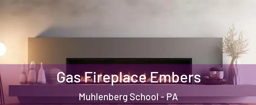 Gas Fireplace Embers Muhlenberg School - PA