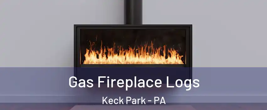 Gas Fireplace Logs Keck Park - PA