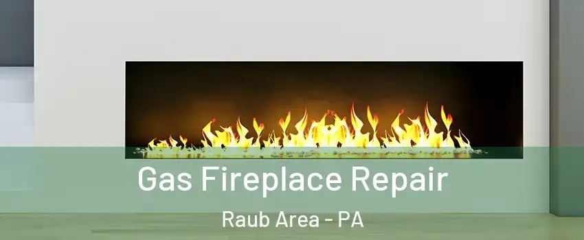 Gas Fireplace Repair Raub Area - PA