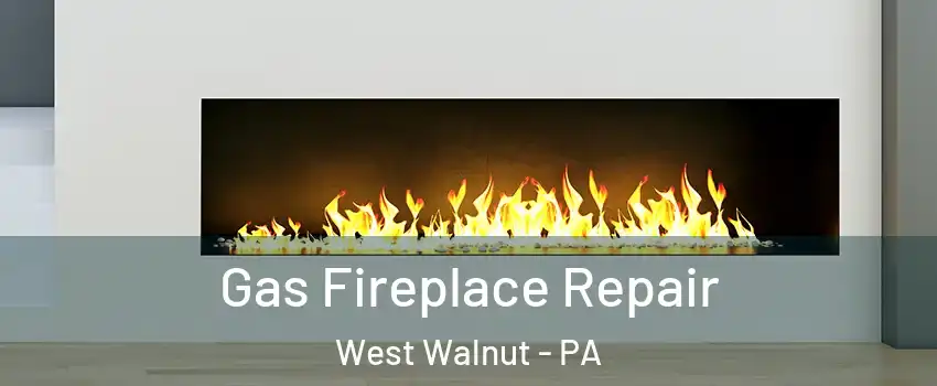 Gas Fireplace Repair West Walnut - PA