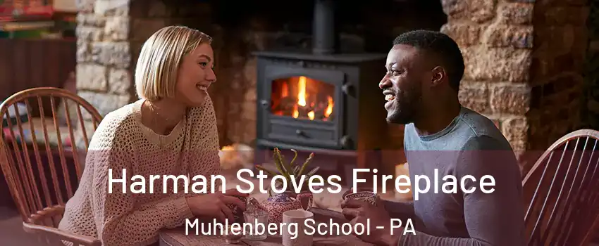Harman Stoves Fireplace Muhlenberg School - PA