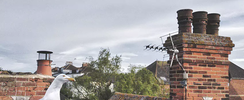 Chimney Cleaning And Restoration in Earn, Pennsylvania