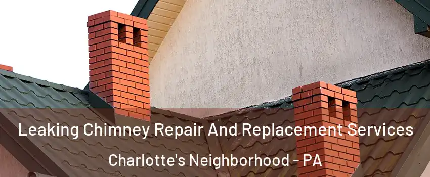 Leaking Chimney Repair And Replacement Services Charlotte's Neighborhood - PA