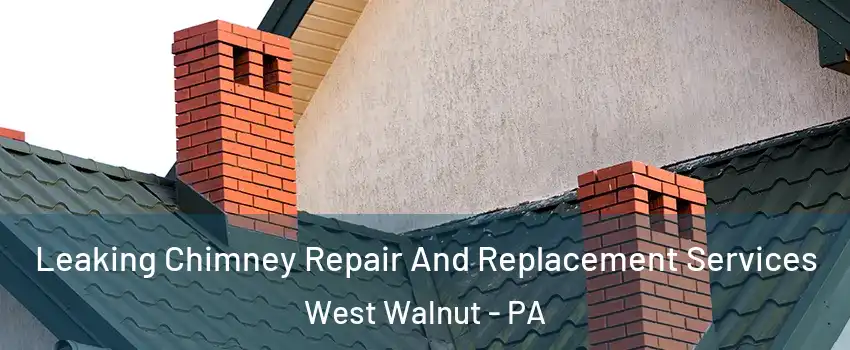 Leaking Chimney Repair And Replacement Services West Walnut - PA