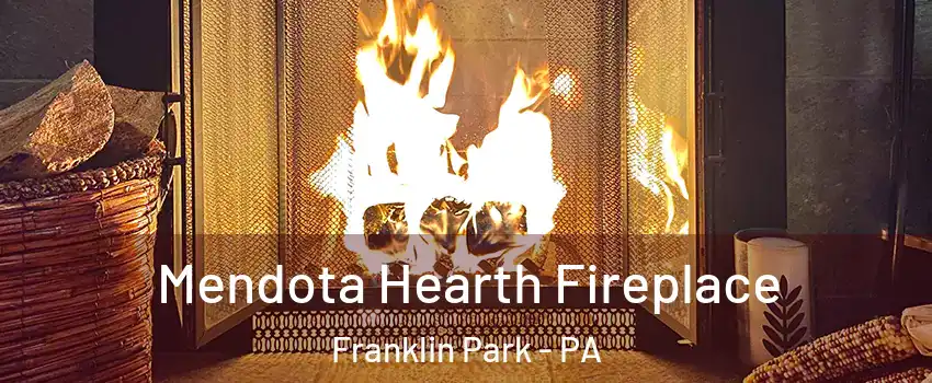 Mendota Hearth Fireplace Franklin Park - PA