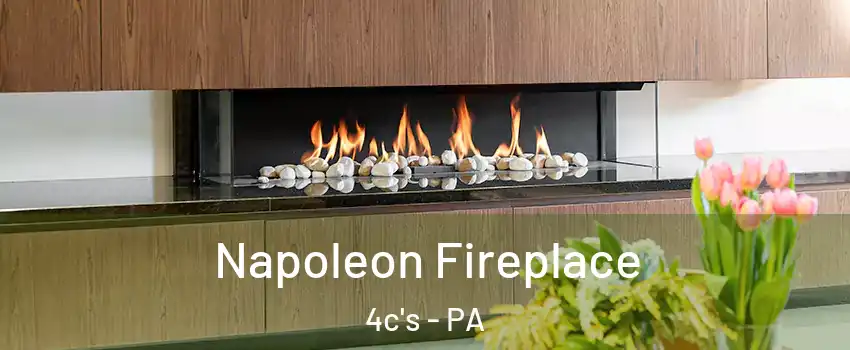 Napoleon Fireplace 4c's - PA