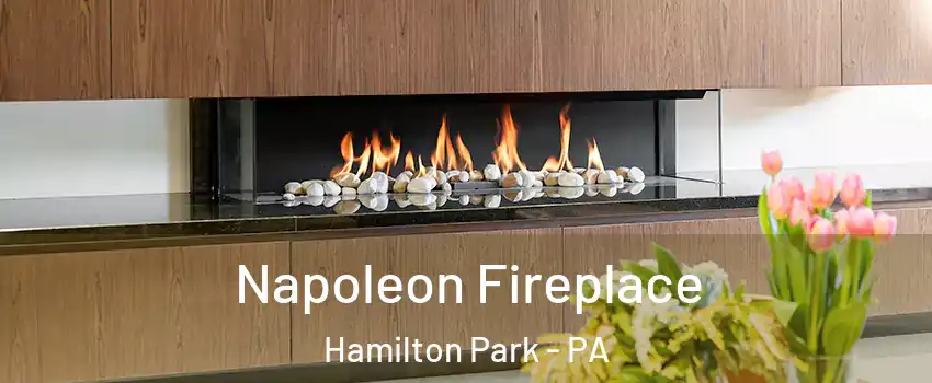 Napoleon Fireplace Hamilton Park - PA