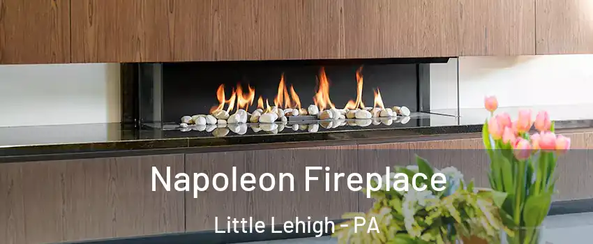 Napoleon Fireplace Little Lehigh - PA