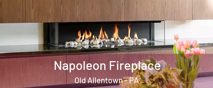 Napoleon Fireplace Old Allentown - PA