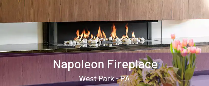 Napoleon Fireplace West Park - PA