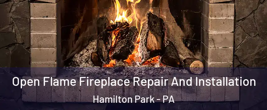 Open Flame Fireplace Repair And Installation Hamilton Park - PA