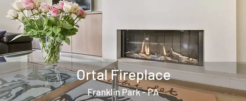 Ortal Fireplace Franklin Park - PA