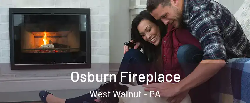 Osburn Fireplace West Walnut - PA
