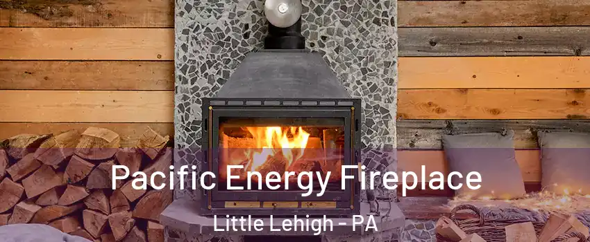Pacific Energy Fireplace Little Lehigh - PA