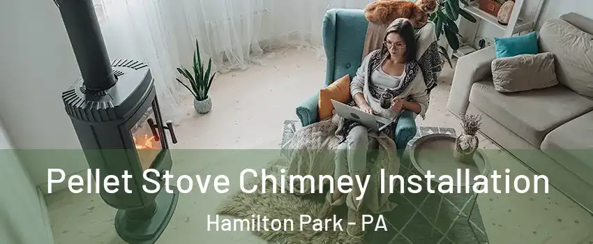 Pellet Stove Chimney Installation Hamilton Park - PA