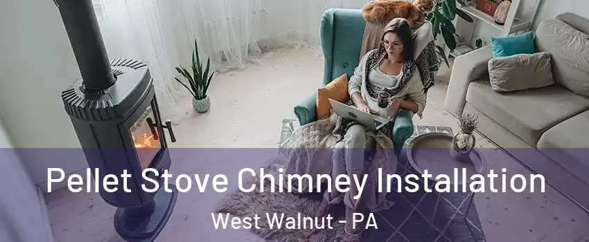 Pellet Stove Chimney Installation West Walnut - PA