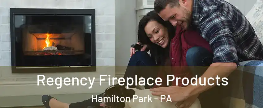 Regency Fireplace Products Hamilton Park - PA