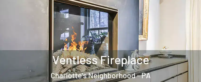 Ventless Fireplace Charlotte's Neighborhood - PA