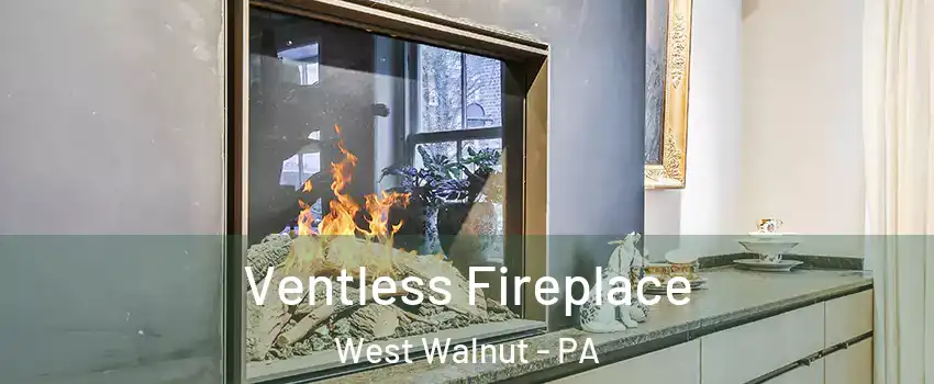 Ventless Fireplace West Walnut - PA